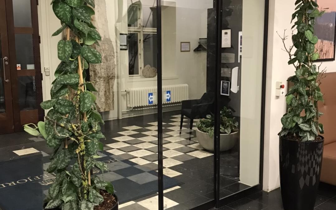 Når blomster flytter ind i erhvervslivet