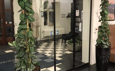 Når blomster flytter ind i erhvervslivet