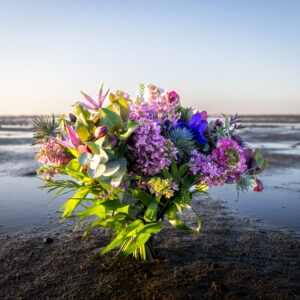 Den klassiske blå & lilla